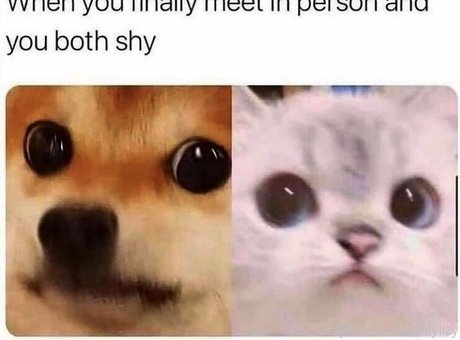 brownielizy model nude photos