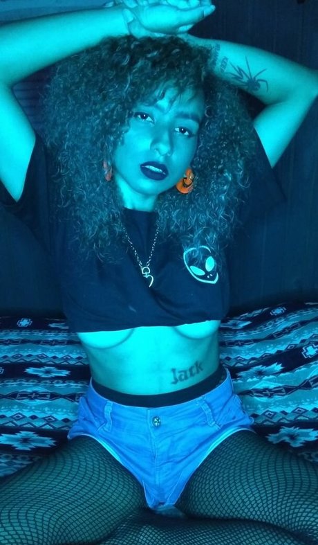 Laysla Jack star adult image