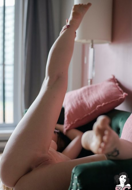 Sonia von Sacher best star img