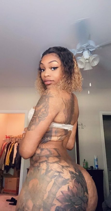 perfectprices hot star archive