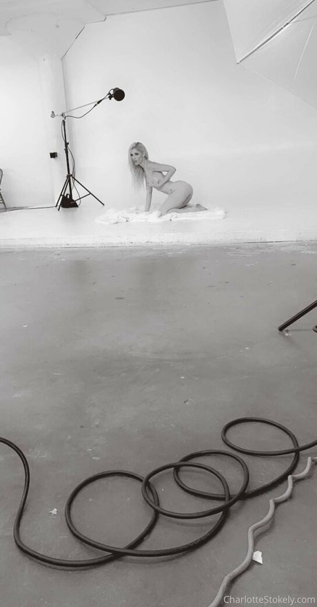 char stokely star sex galleries