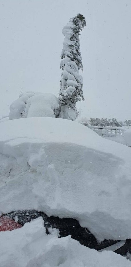 mistressalexandra sexy star image