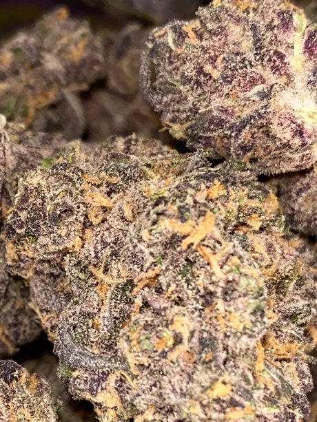 Top Shelf Freak_ free actress photo