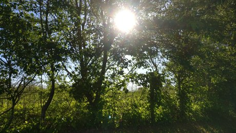 Muro pretty actress archive