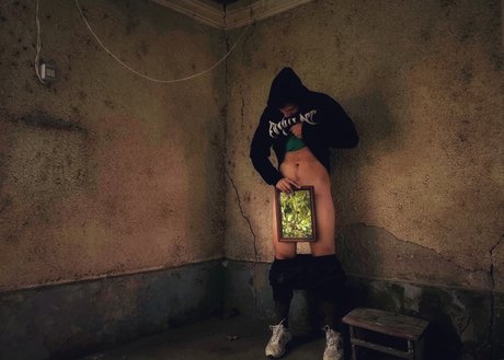 Mr radiospace free pornstar picture