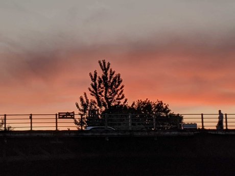 Skylar Rain sex star galleries