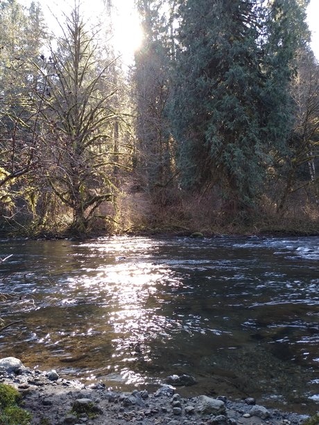 Quincy Quiet star hot pictures