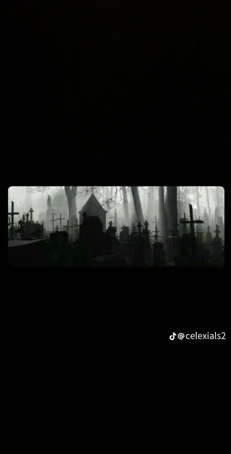 Luka Rose porn star gallery