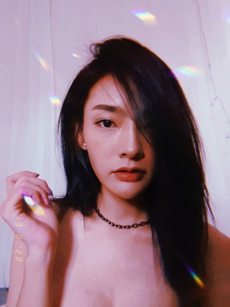 Bunky_ perfect star gallery