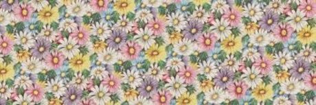 Claire Taylor pornstar exclusive gallery