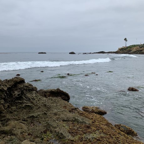 Stella St Clair nude actress picture