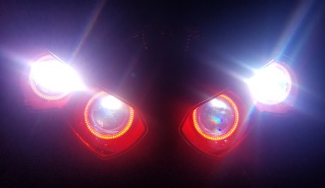 Nastyzx14 exclusive pornstar archive