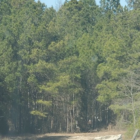 Motown Trucker best star pics