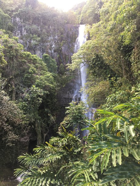 John Smith star nice pic