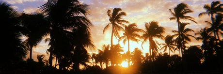 SSBBW Celestica backup hd pornstar pics