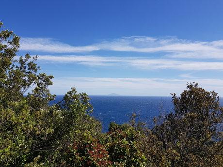 Mrmassi erotic actress photos