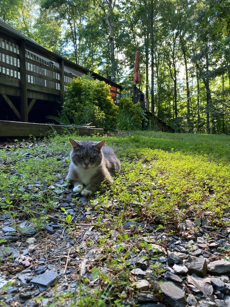 Madonnamashed porn actress pictures