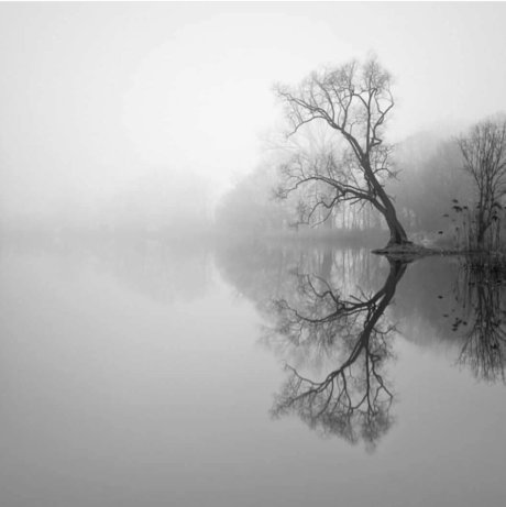 Darlingitsyou_ pornstar erotic gallery