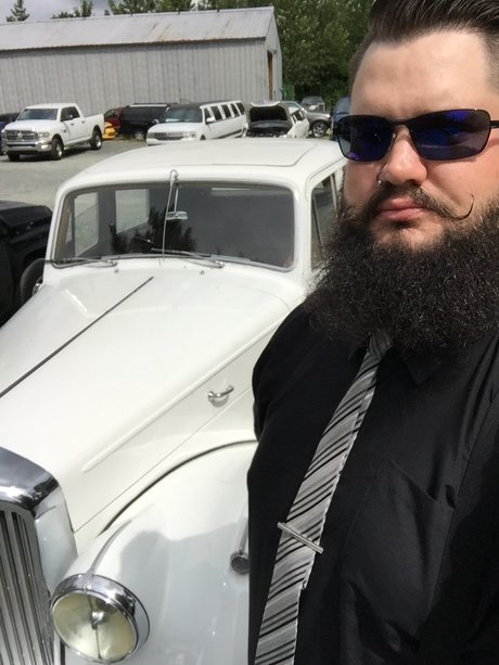 Mountain Bear beautiful star image