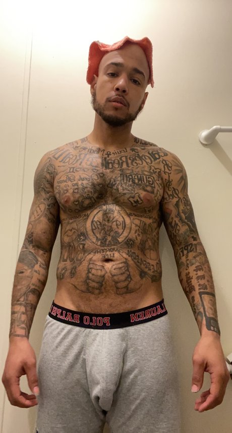 Mr North xxx pornstar images