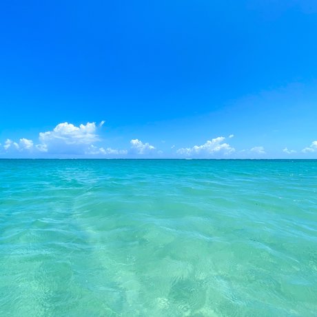 Mr goodbearxxx star art archive