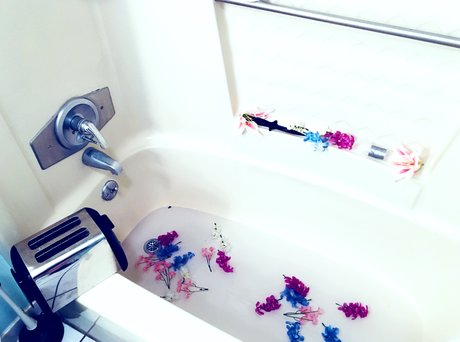 Moxie McKaye art pornstar galleries