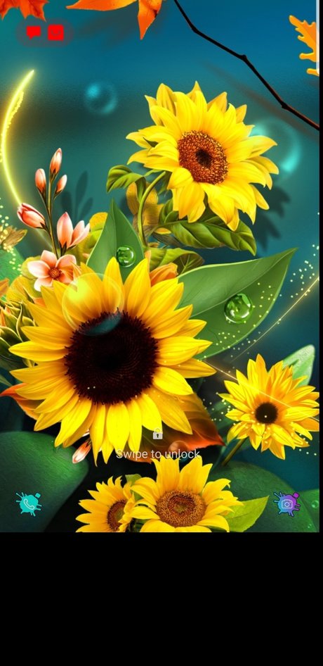 Queenmercy porn star photos