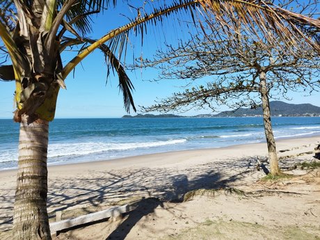 El Ni o pornstar sexy archive