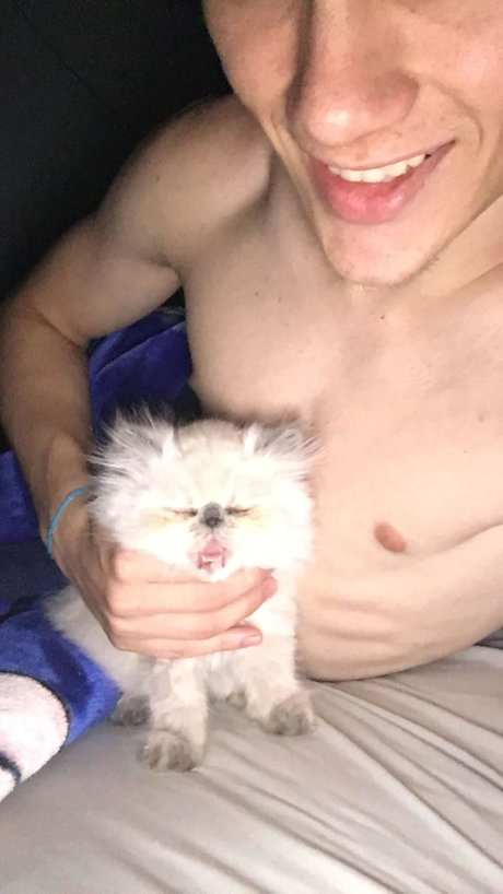 batatinha123 star xxx img