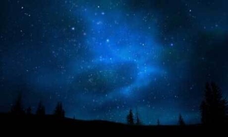 ScrillyXoX89 sex pornstar pictures