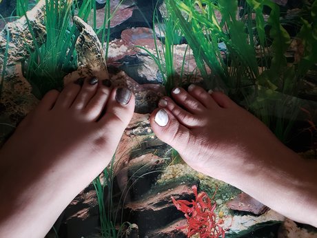 Yin1234 pornstar beautiful gallery