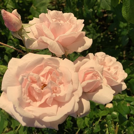 myuntitledlife_ pretty model galleries