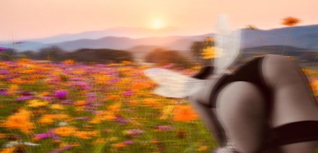 Refia pornstar sex images