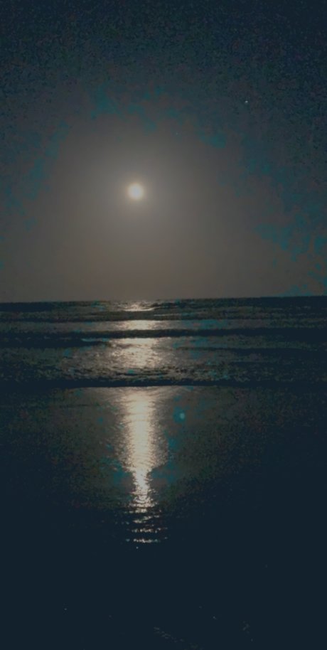 Just Jess pornstar pretty pic