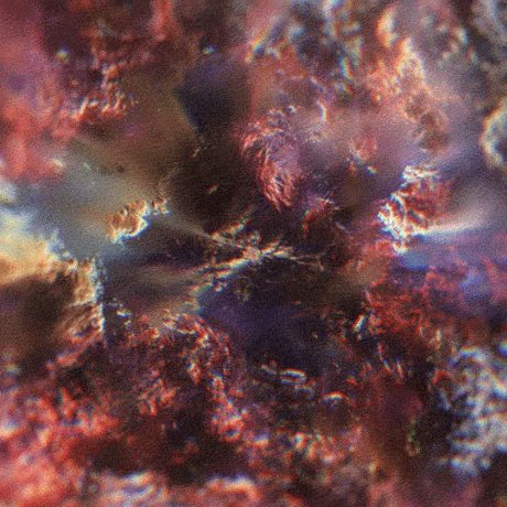 eartha klitt star perfect pics