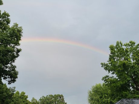 Luckydragon7 model high quality img