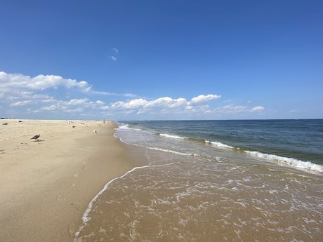 Jurriaan de Vries sexy actress pictures