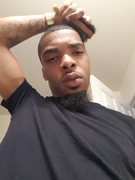 TRINI CURVE best model archive