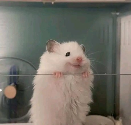 Lira Morrison pornographic actress picture