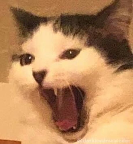 Mr Peach hot star images