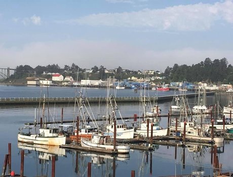 MyMichelle star art galleries