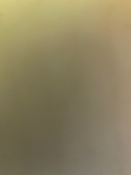 LexiFox03 model hot image