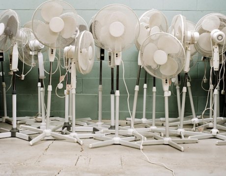 Home cooking top actress galleries