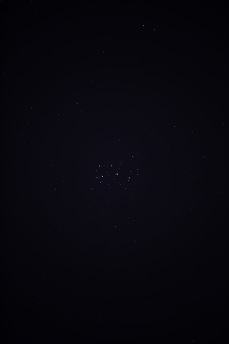 creamax pornographic star archive