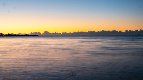 _T 10 0 pornstar adult archive