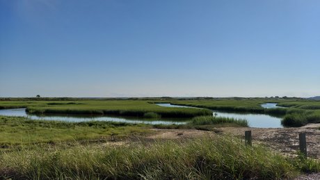 Tyler Cloud erotic model gallery