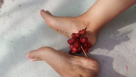 PhoFihad pretty star galleries