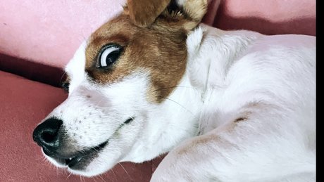 Winyl model pretty archive