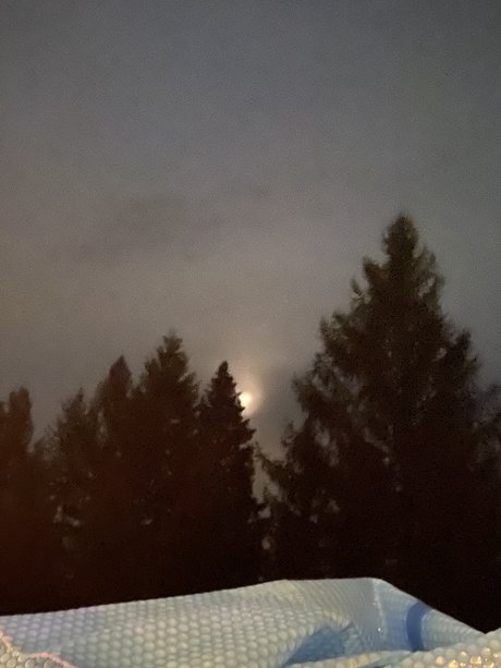 Dial A Doll art pornstar gallery