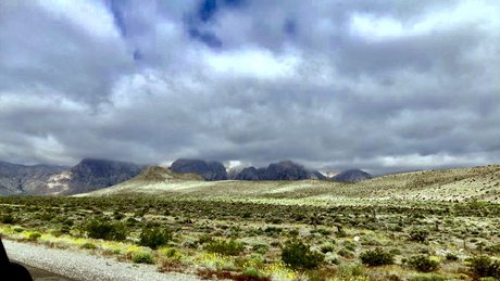 eBlood SiSK model img